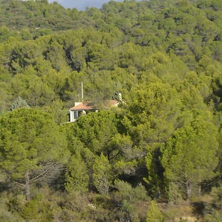 Villa La Petite Cigale Cesseras Exterior foto