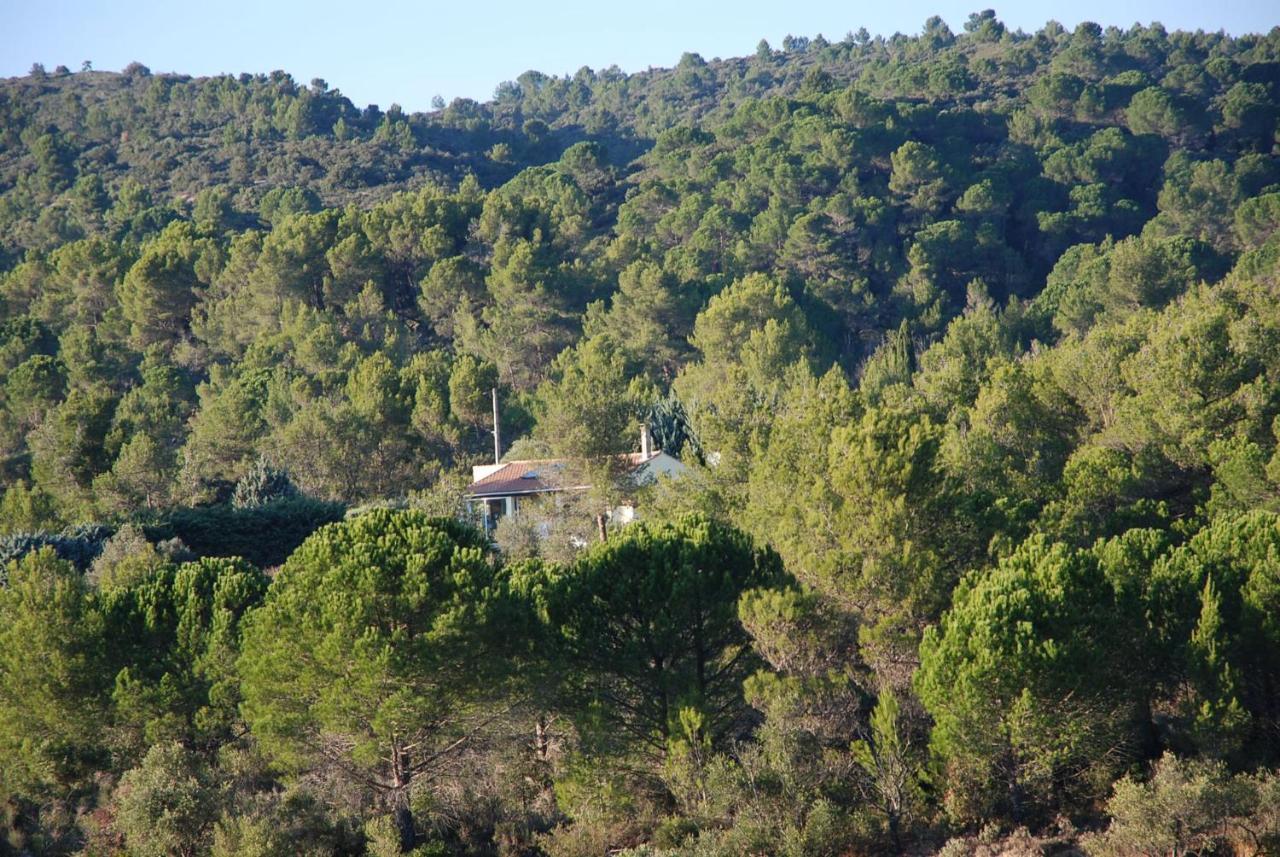 Villa La Petite Cigale Cesseras Exterior foto