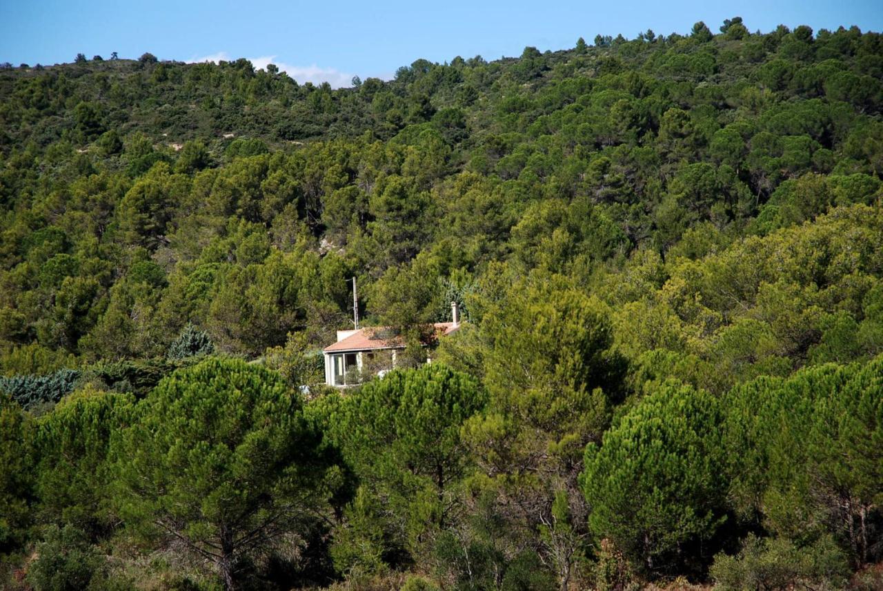 Villa La Petite Cigale Cesseras Exterior foto