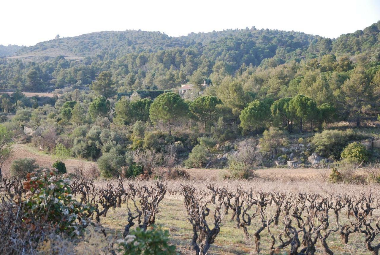 Villa La Petite Cigale Cesseras Exterior foto