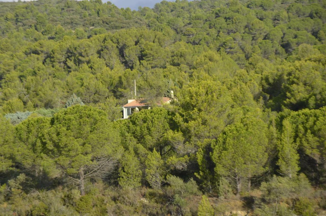 Villa La Petite Cigale Cesseras Exterior foto